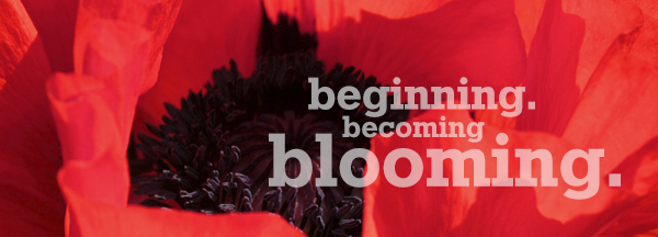beginning. becoming. blooming.