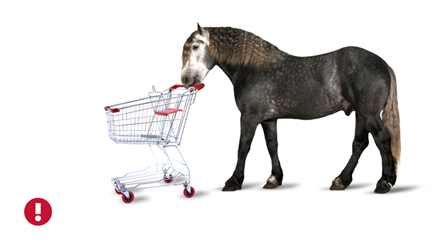 the shopping cart before the horse