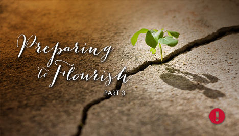 preparing to flourish - part 3