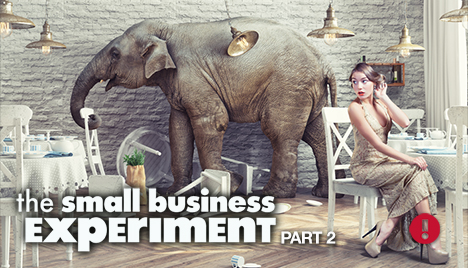 the small business experiment part 2