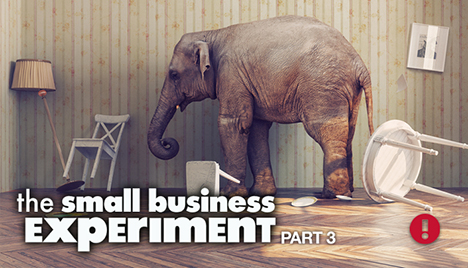 the small business experiment part 3